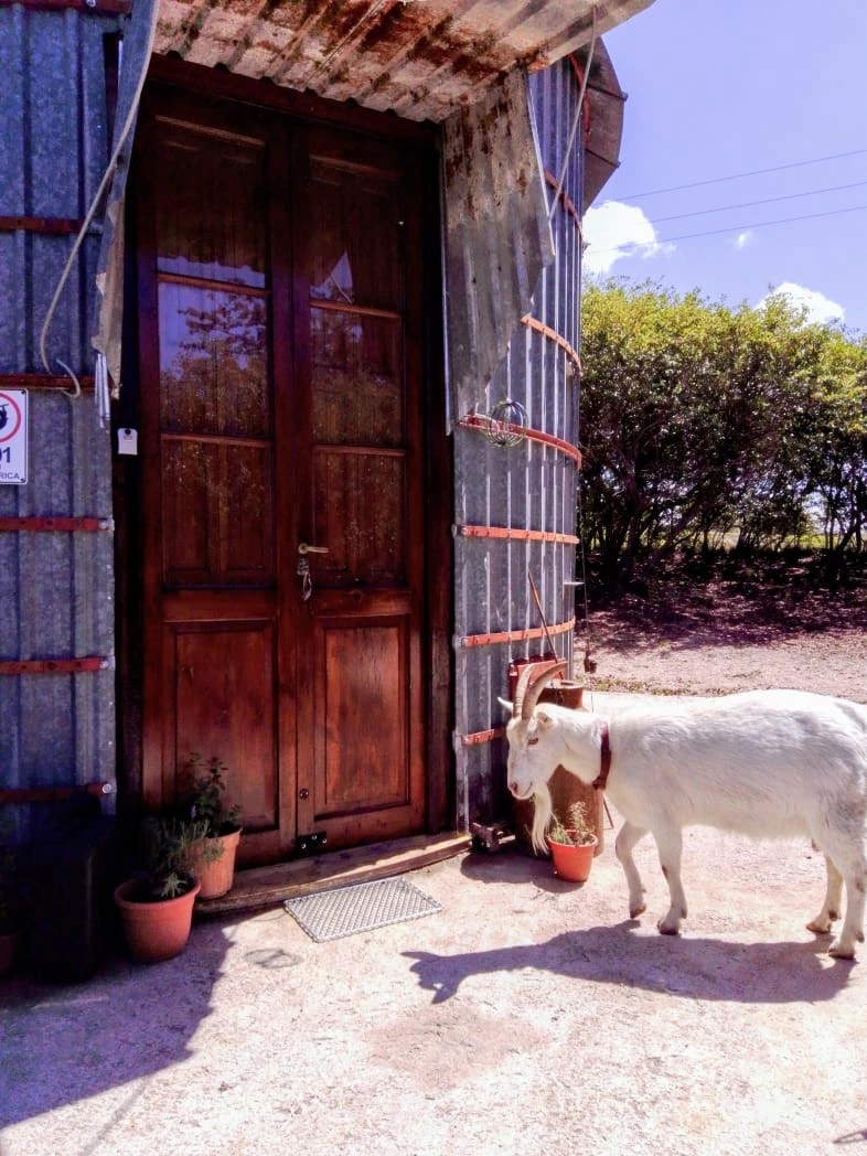 Actividades en la zona